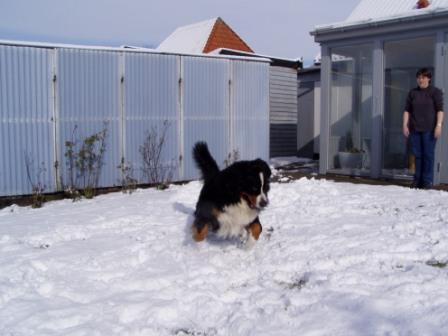 Bilbo i sneen p&aring;sken 24-03-2008