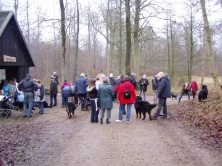 gr&aring;sten 29-12-2006