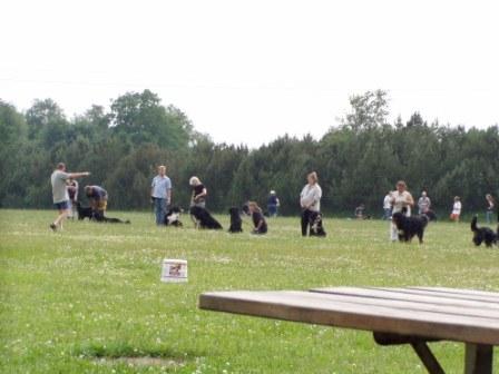 tr&aelig;nings plads 2006