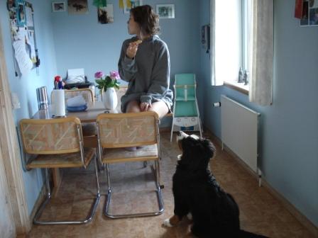 Betina og Oppenheimer efter &aring;r 2009