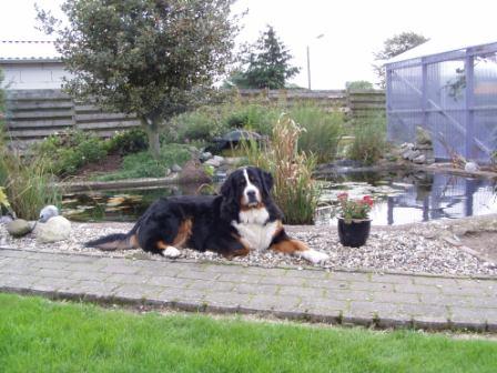 Bilbo 2006